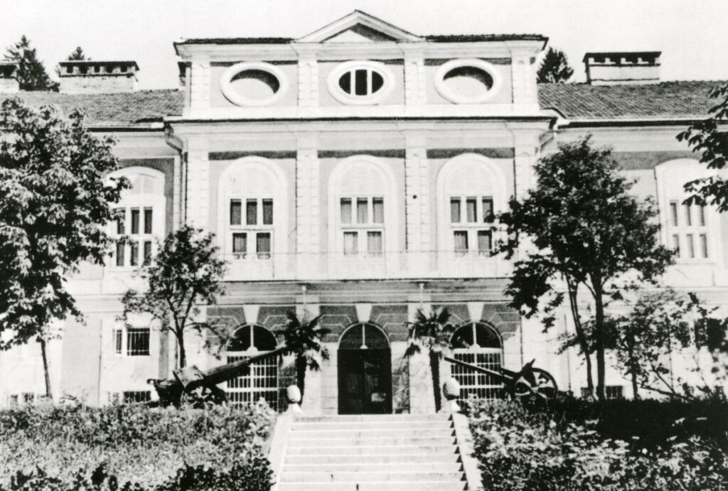 Stopnice, ki vodijo do Cekinovega gradu, pred njim dva topa in dve palmi, ob strani drevesa.