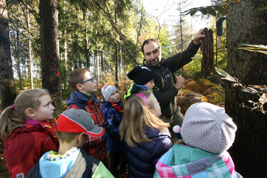 Skupina tabornikov posluša starejšega tabornika v gozdu.