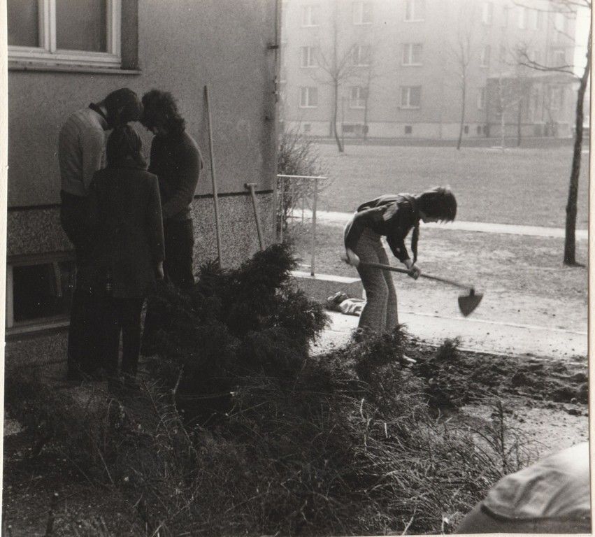 Delovna akcija, tabornik z motiko.