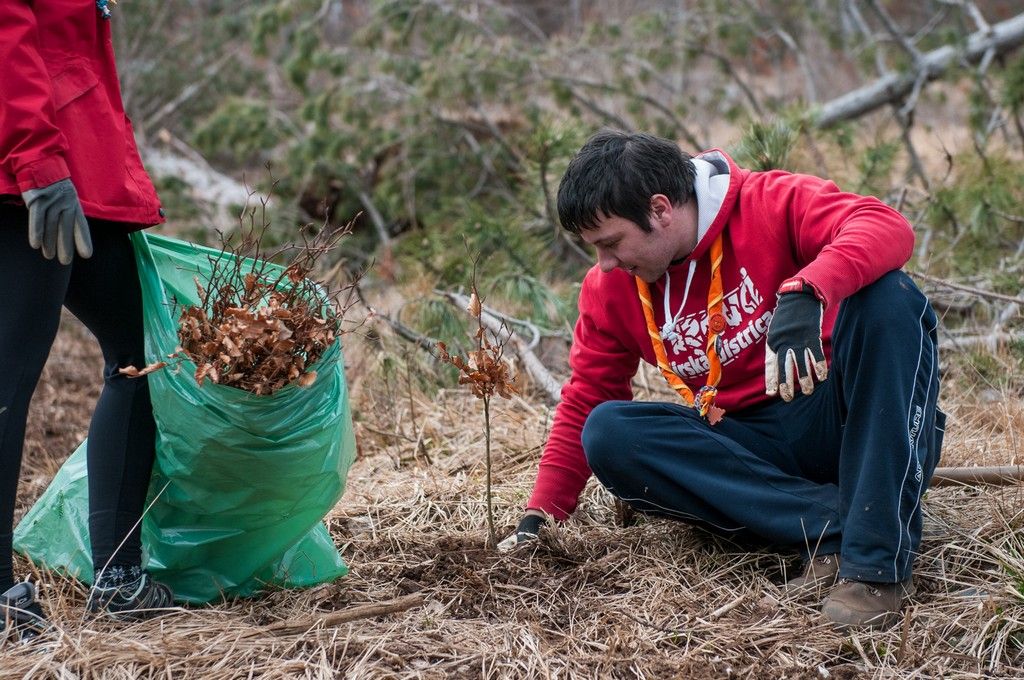 Tabornik sadi drevo.