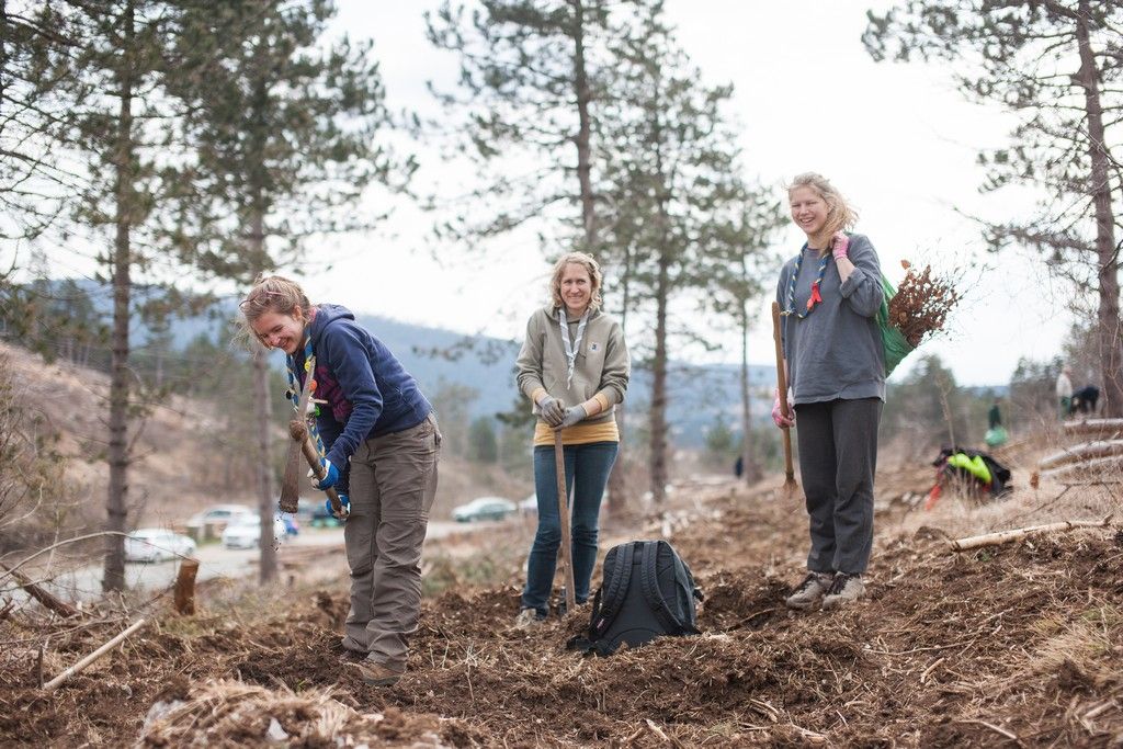 Taborniki sadijo drevesa.
