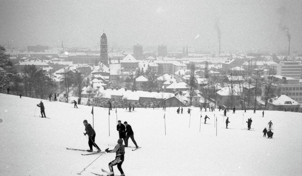 Smučarji in sankarji na hribu.