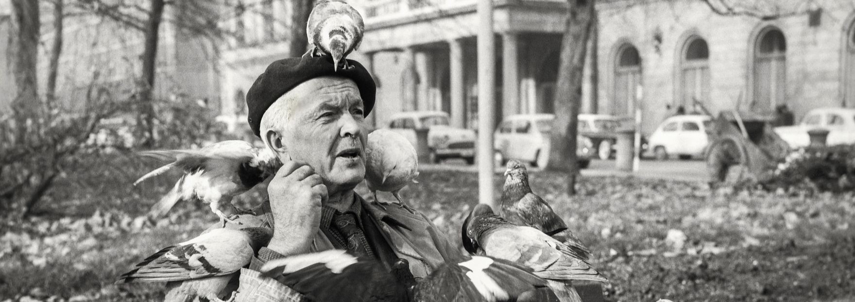 Podoba mestnega parka