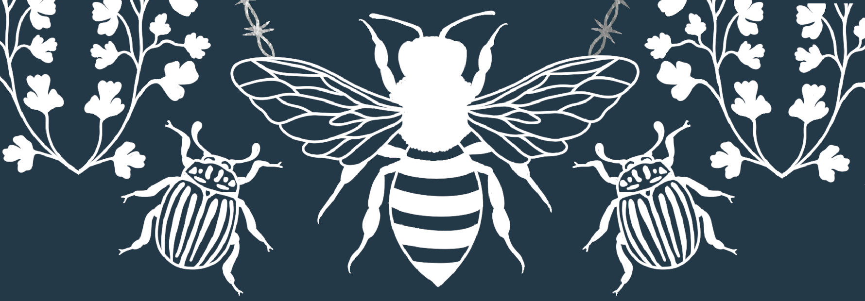 Predstavitev knjige Mala Lisa avtorice Rachel Mourier