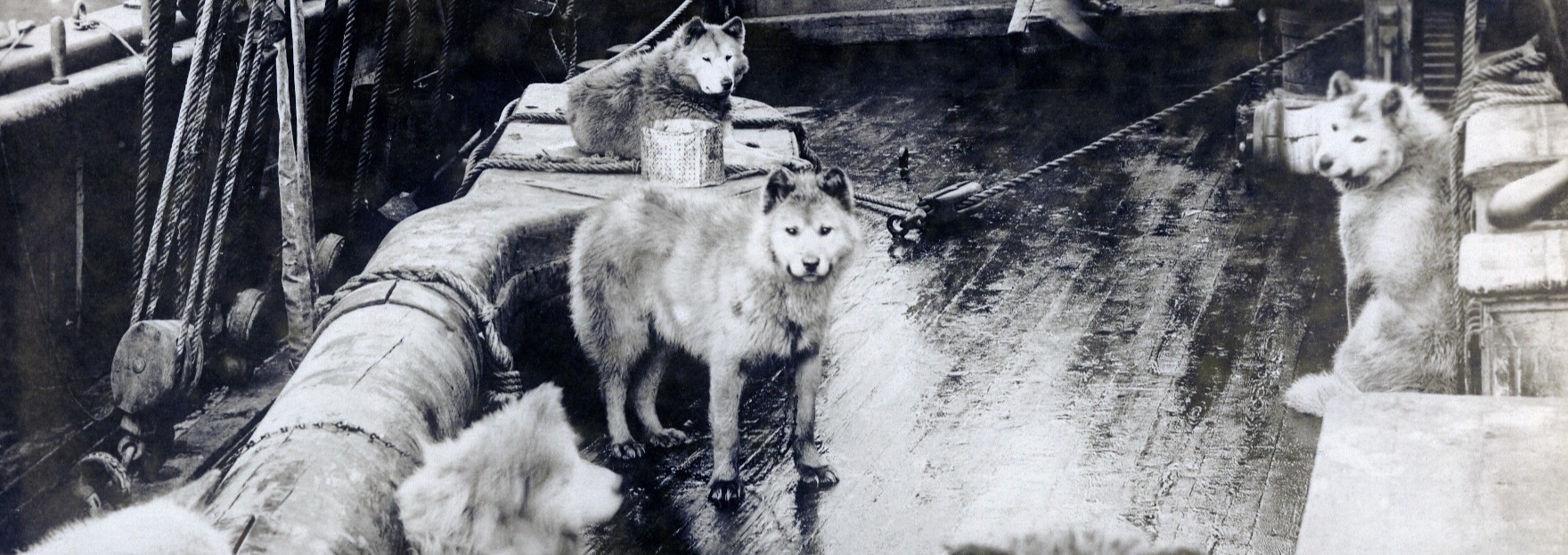 Na krovu polarne ladje Maud