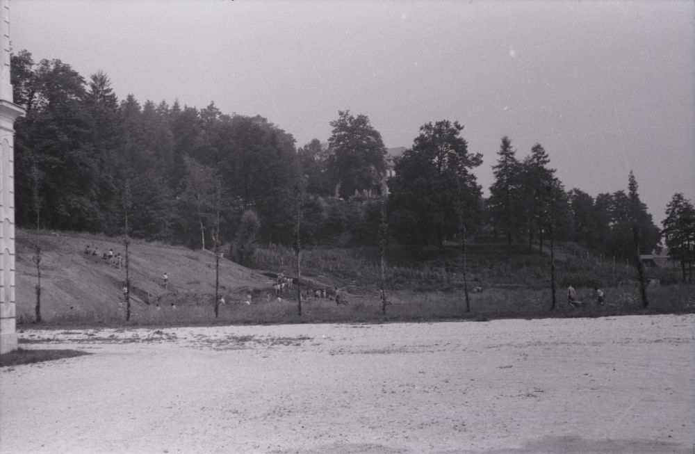 Pogled na hrib za muzejem. 