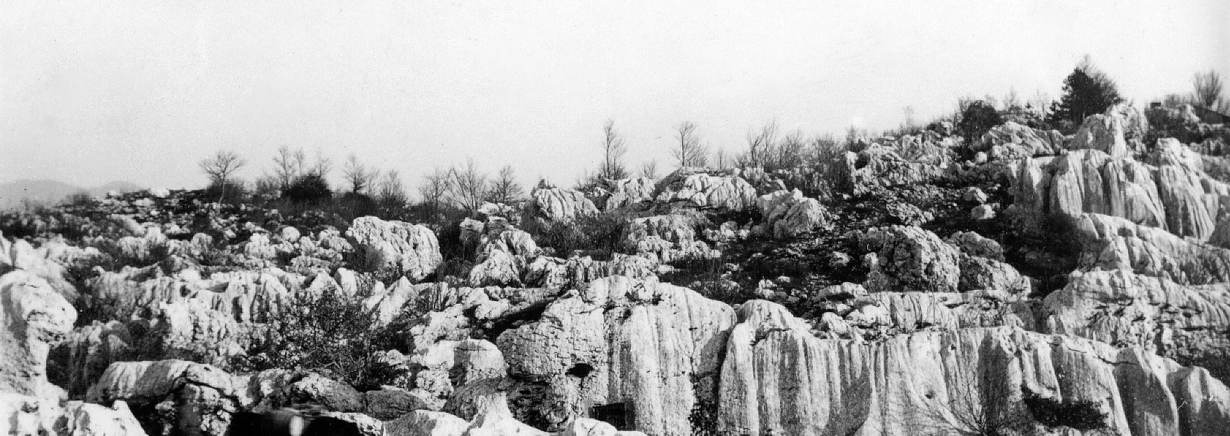 »In tu in tam. Le bežno potovanje.« Fotografsko-literarna razstava o Srečku Kosovelu