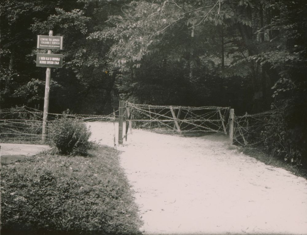 Na poti v parku žičnata ograja.