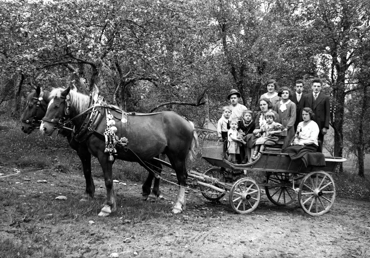 Fotografija družine na vozu, v katerega je vprežen par konj.